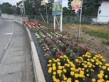 花いっぱい運動 花いっぱい運動